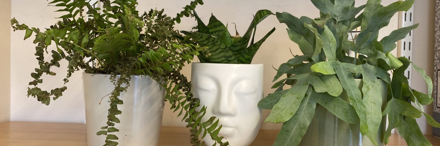 Clare Hodgson MCCT banner