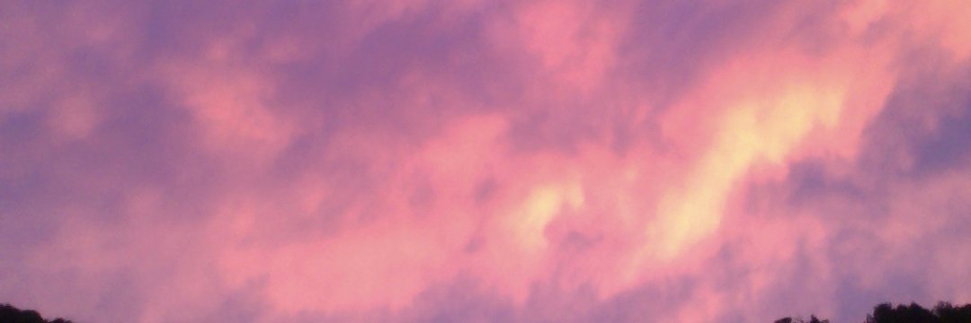 Reptilluminati's profile banner image