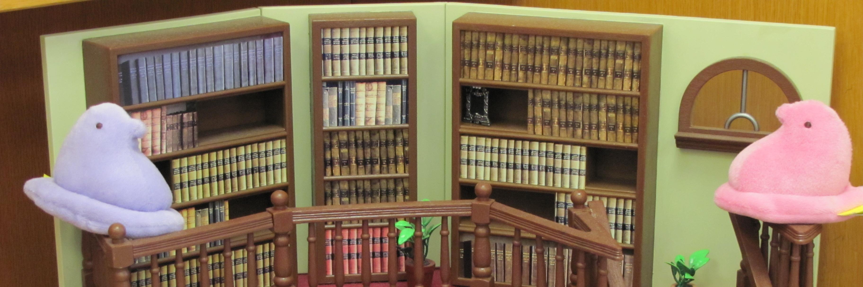 AUM_Library's profile banner image