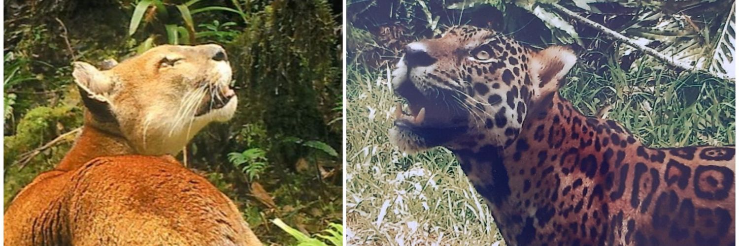 Marc Hoogeslag banner