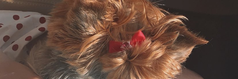 eva_fadel00's profile banner image