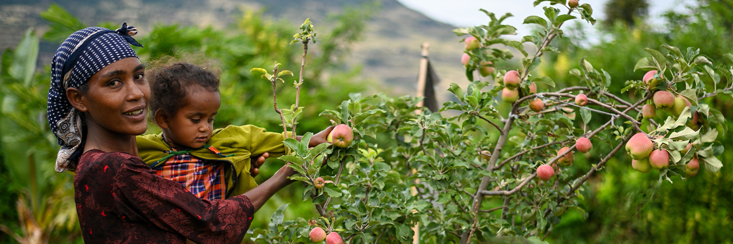 Menschen für Menschen Österreich banner