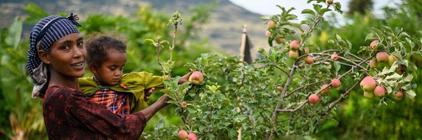 mfm_AT Profile Banner