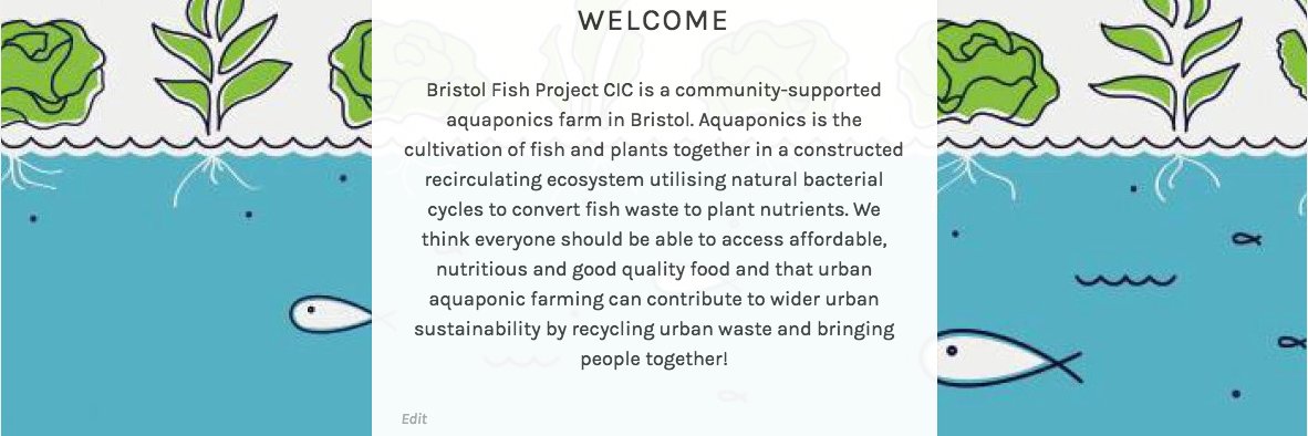 FishBristol's profile banner image