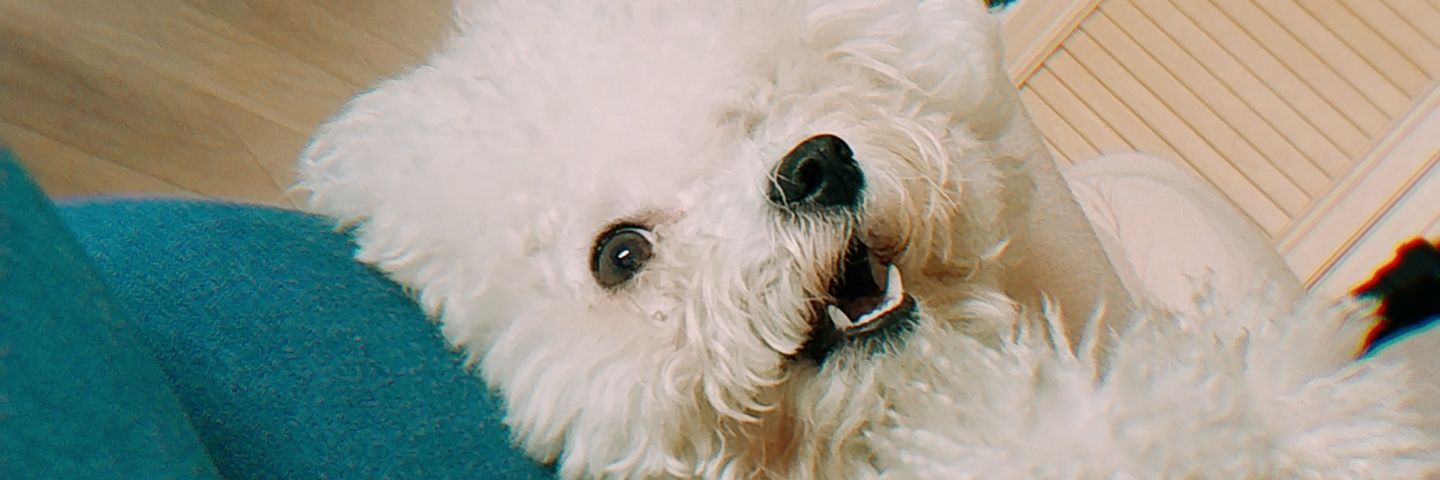 johnnnn1231's profile banner image