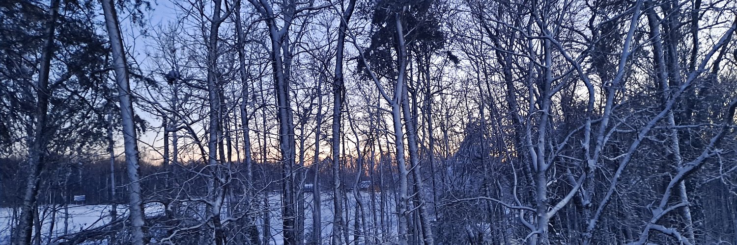 karojom's profile banner image