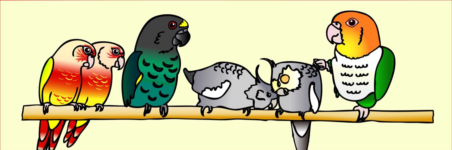 healingbird1's profile banner image