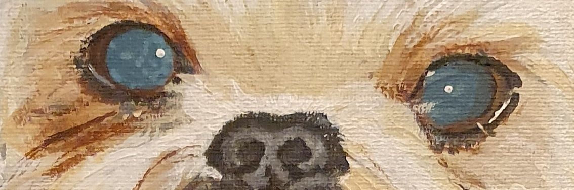 kayleamalone's profile banner image
