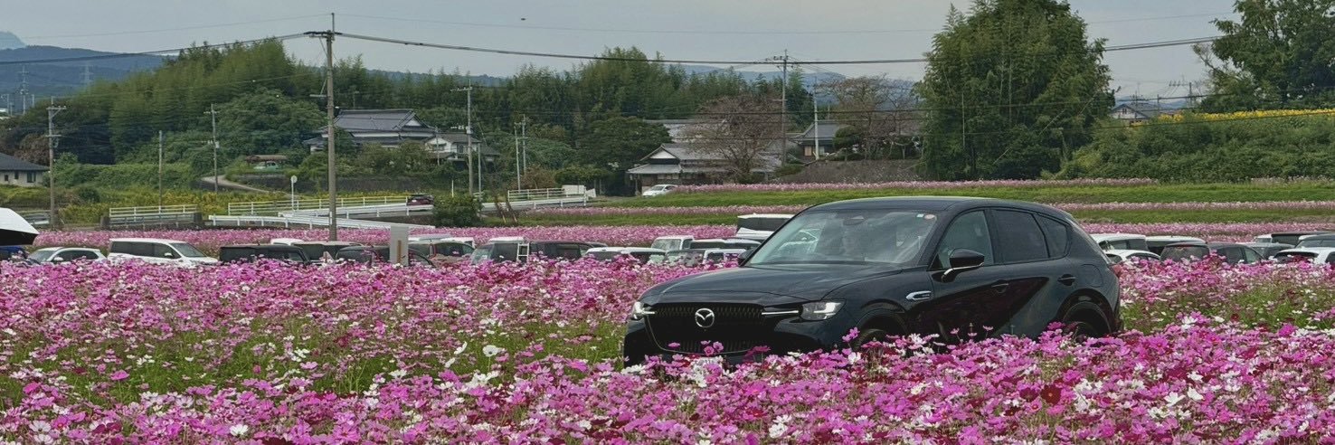 halokkun's profile banner image