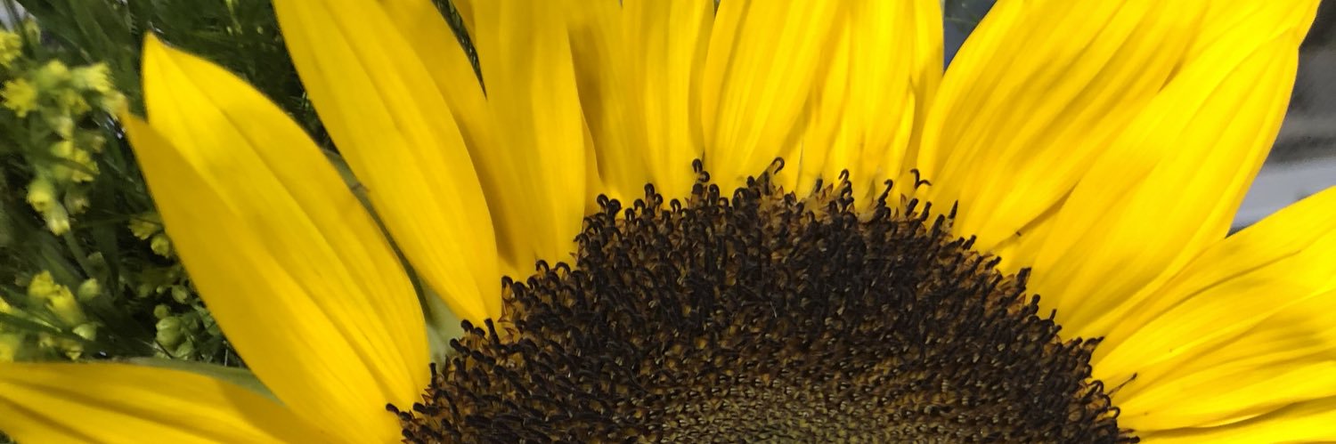 ckstrickland's profile banner image