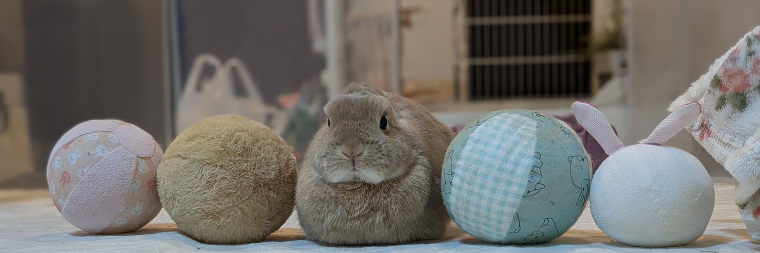 keeby5's profile banner image