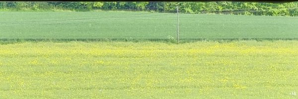 JeromeBascher Profile Banner