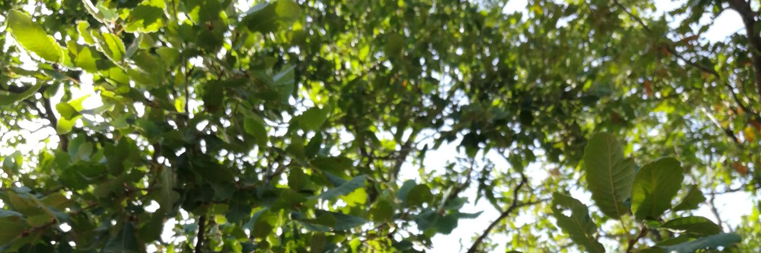 SaidSaid0102's profile banner image