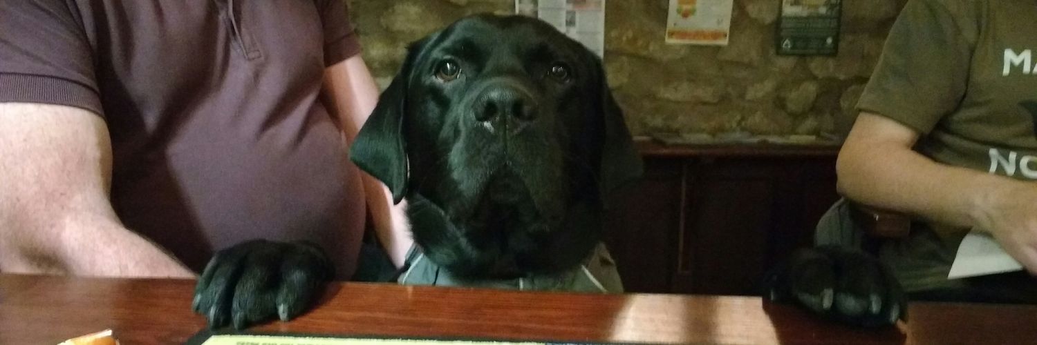 Mansehound's profile banner image