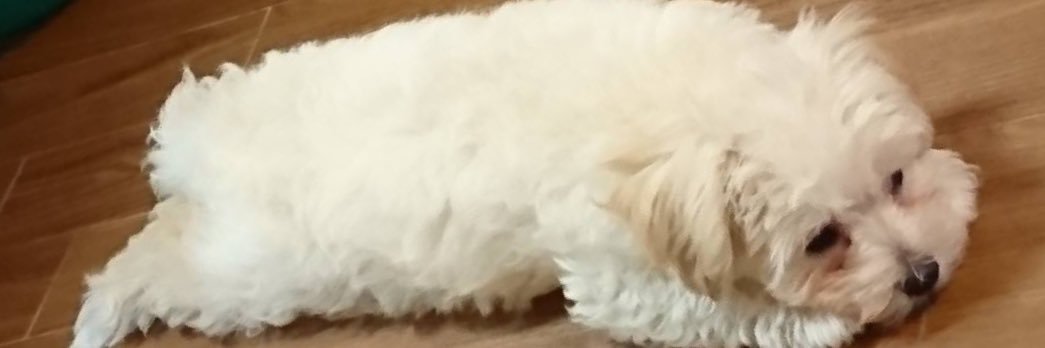 andomsy1's profile banner image