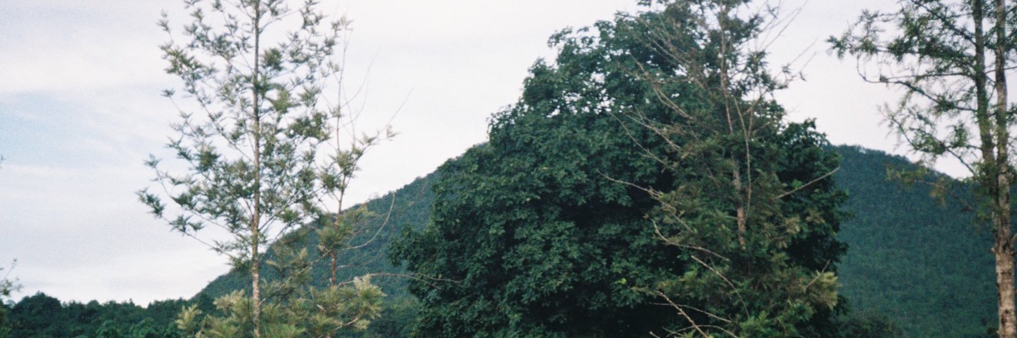 twchtwch's profile banner image