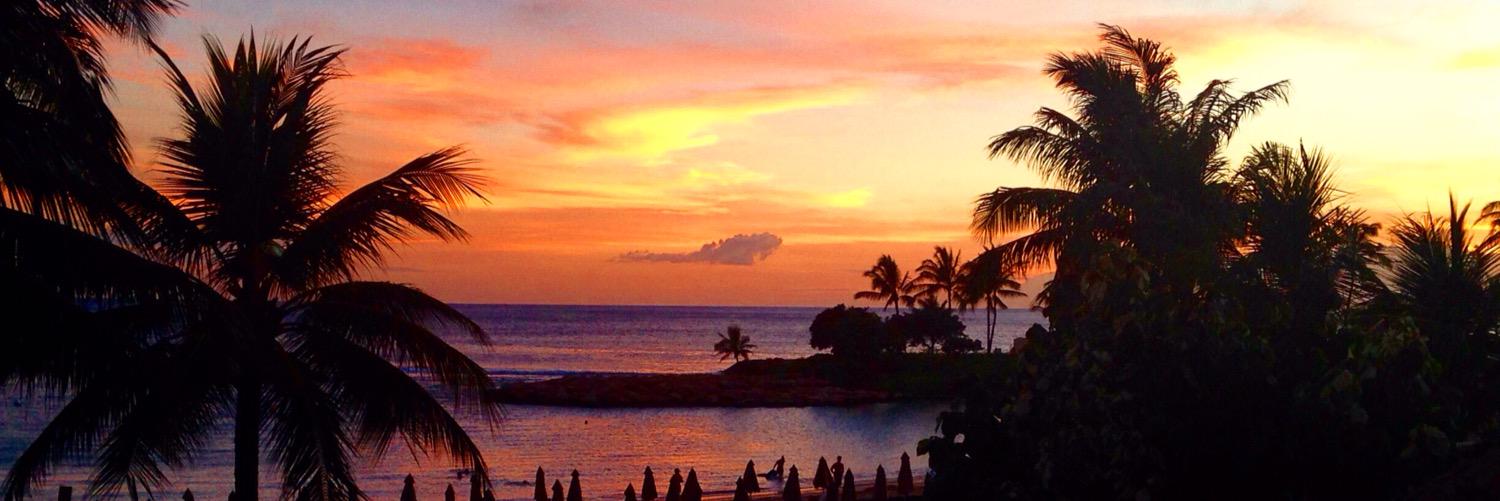 Michelle Plant banner