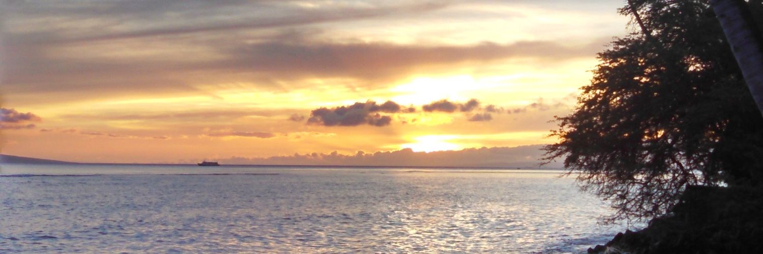 dcommale's profile banner image