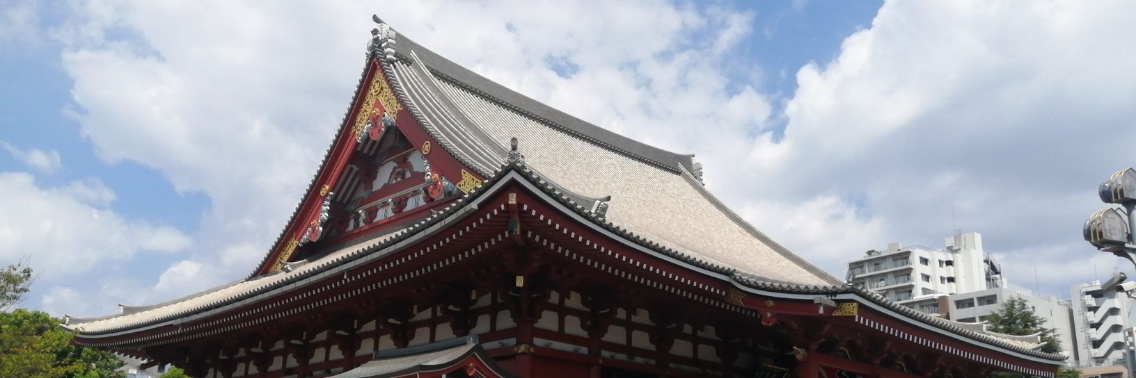 ashayashi's profile banner image