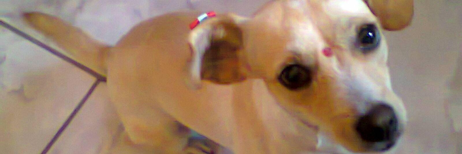 rfrmrc's profile banner image