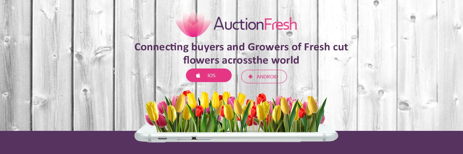 auctionfresh's profile banner image