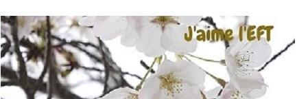 ClaudeEFT's profile banner image