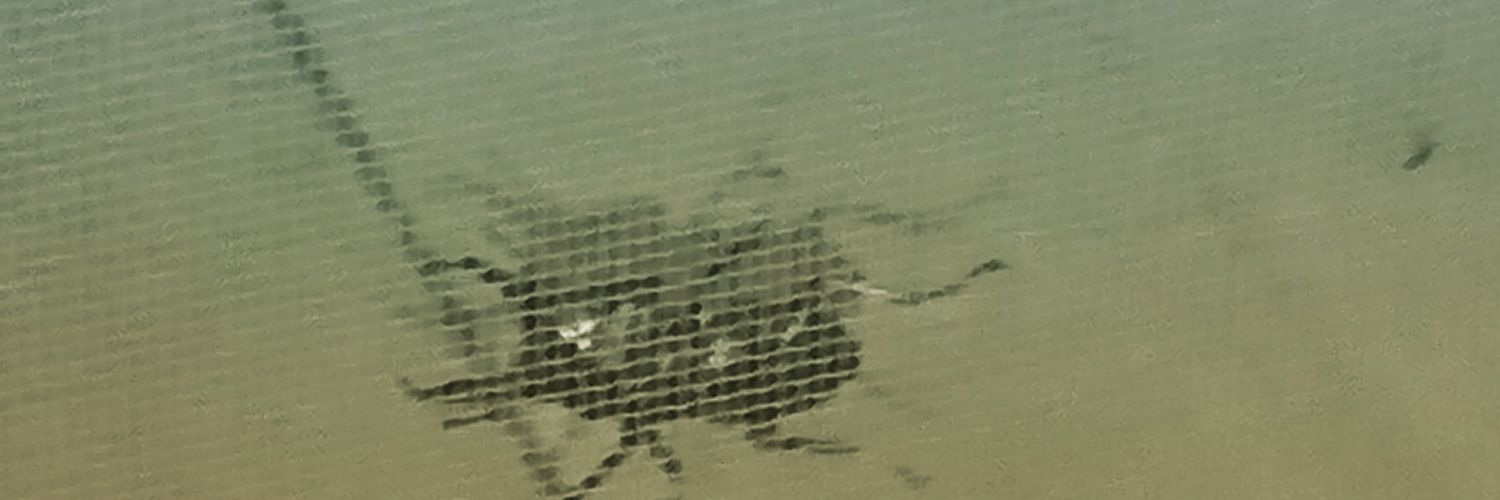 charver2014's profile banner image