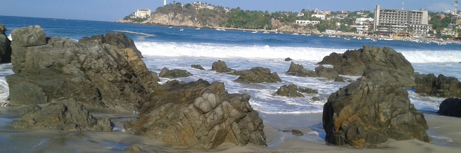 lizj773's profile banner image