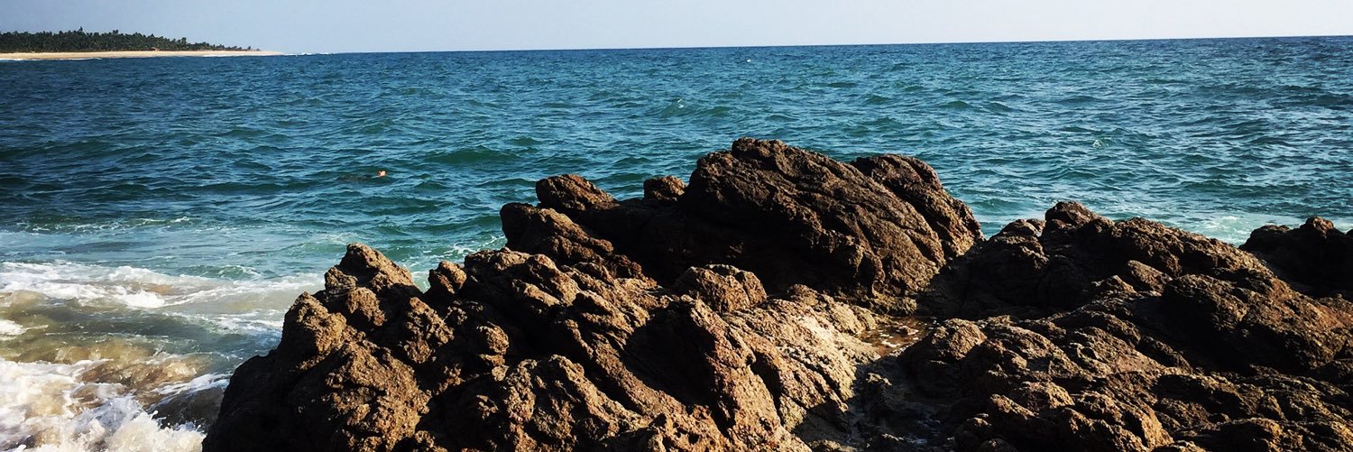 Nalleee22's profile banner image