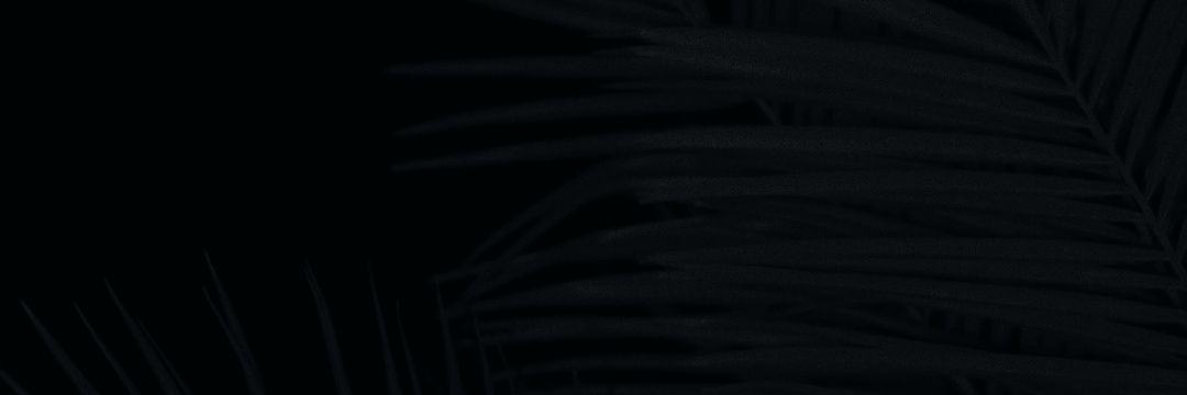 cei97's profile banner image