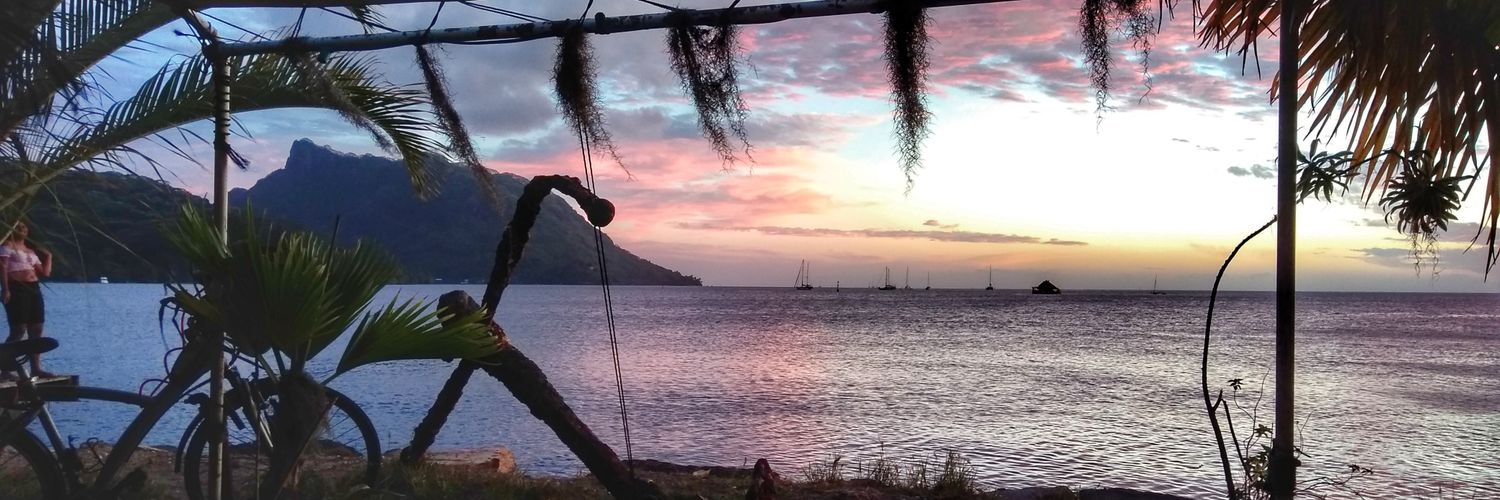 Eva Infeld (find me on better networks already) banner