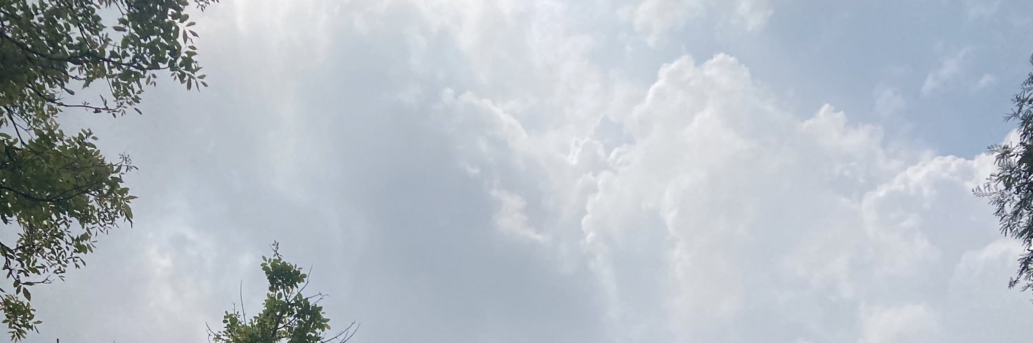 jaogonsaimaii's profile banner image