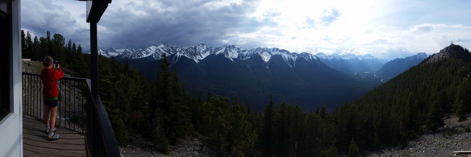 Collin Coffee banner