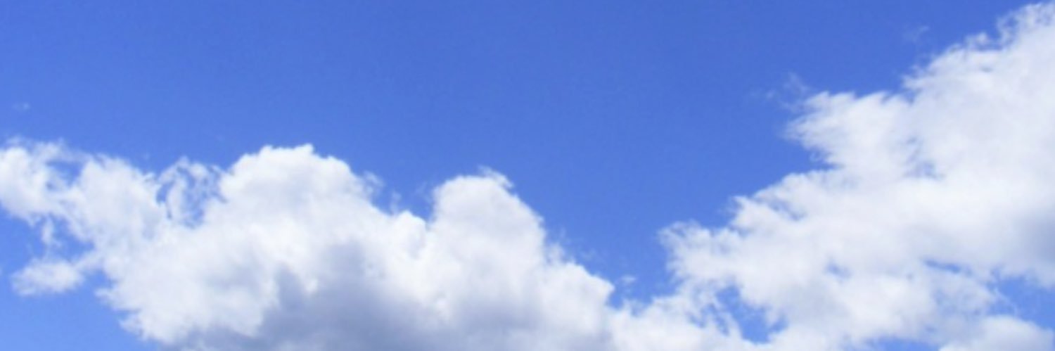 MaryHadStan's profile banner image