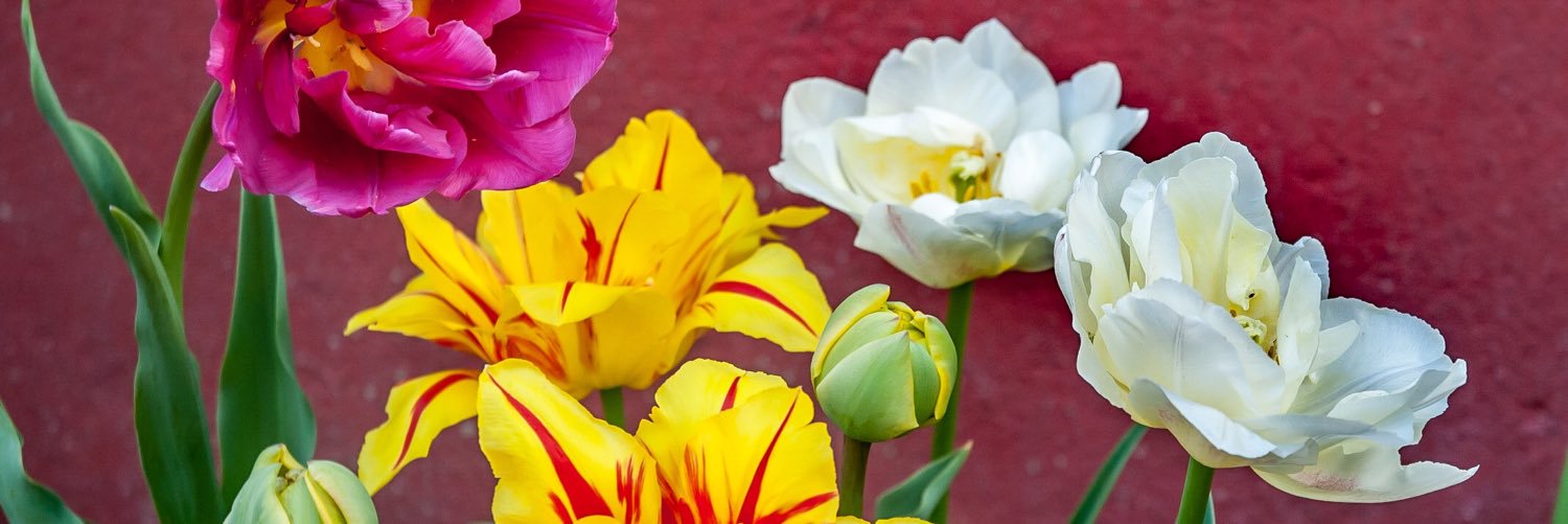MedHealthEd's profile banner image