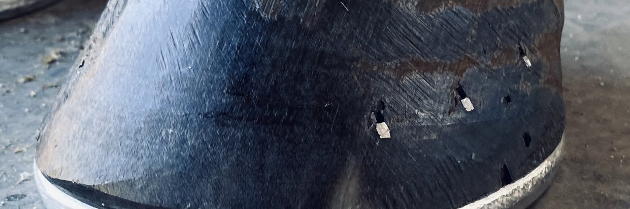 troydenz1's profile banner image