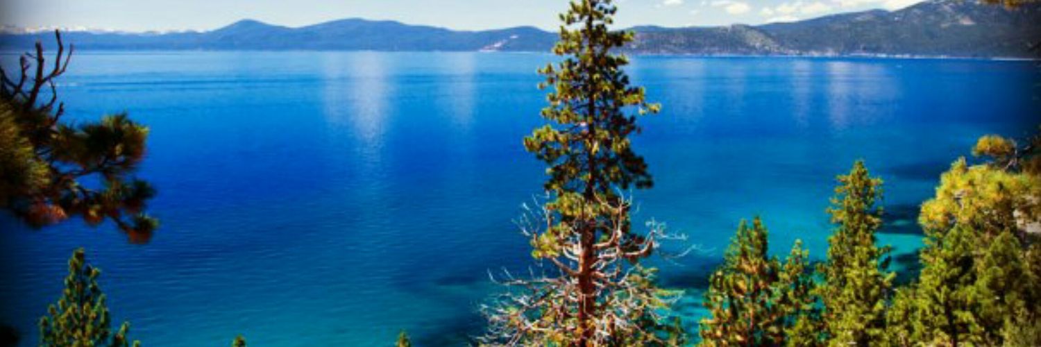 jpage8645's profile banner image