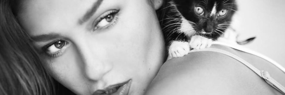 RaysaPeres's profile banner image