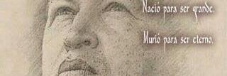 BuffiDino's profile banner image