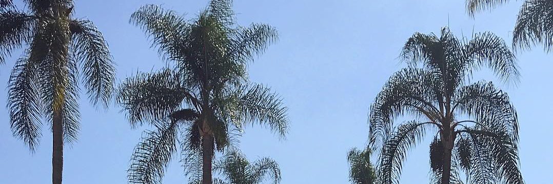 MeaghanMalley's profile banner image