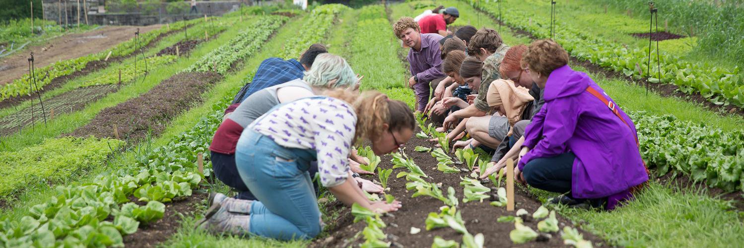 Mobile Kitchen banner