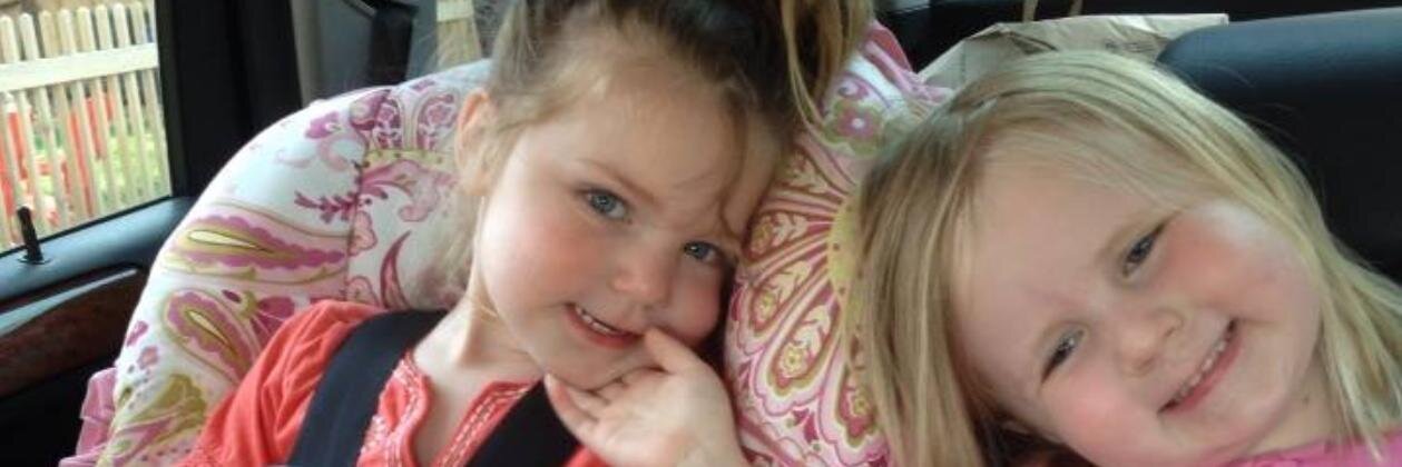 James L. Swann banner