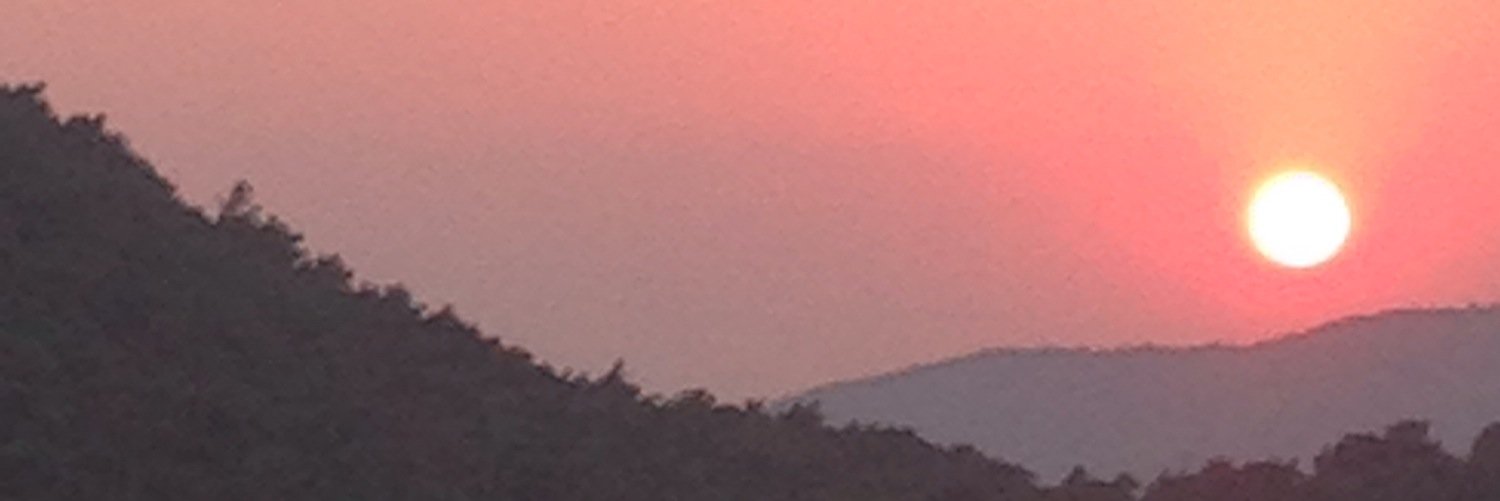 Holly_D91's profile banner image