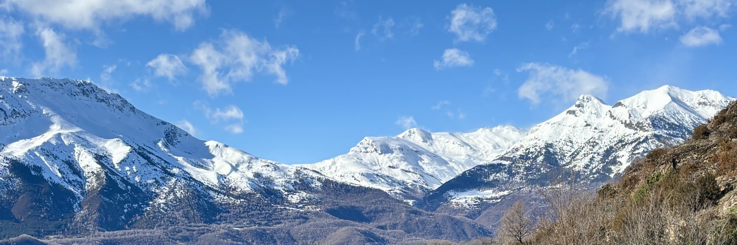 Carlos Coscollar banner