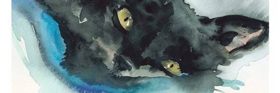 msgreybaby's profile banner image
