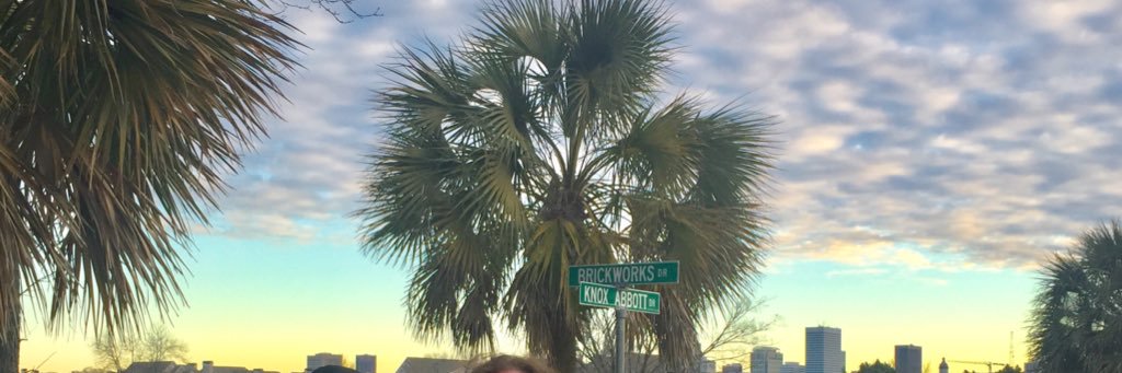 Susan McPherson banner