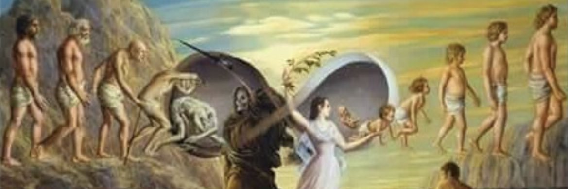 LiqLand's profile banner image