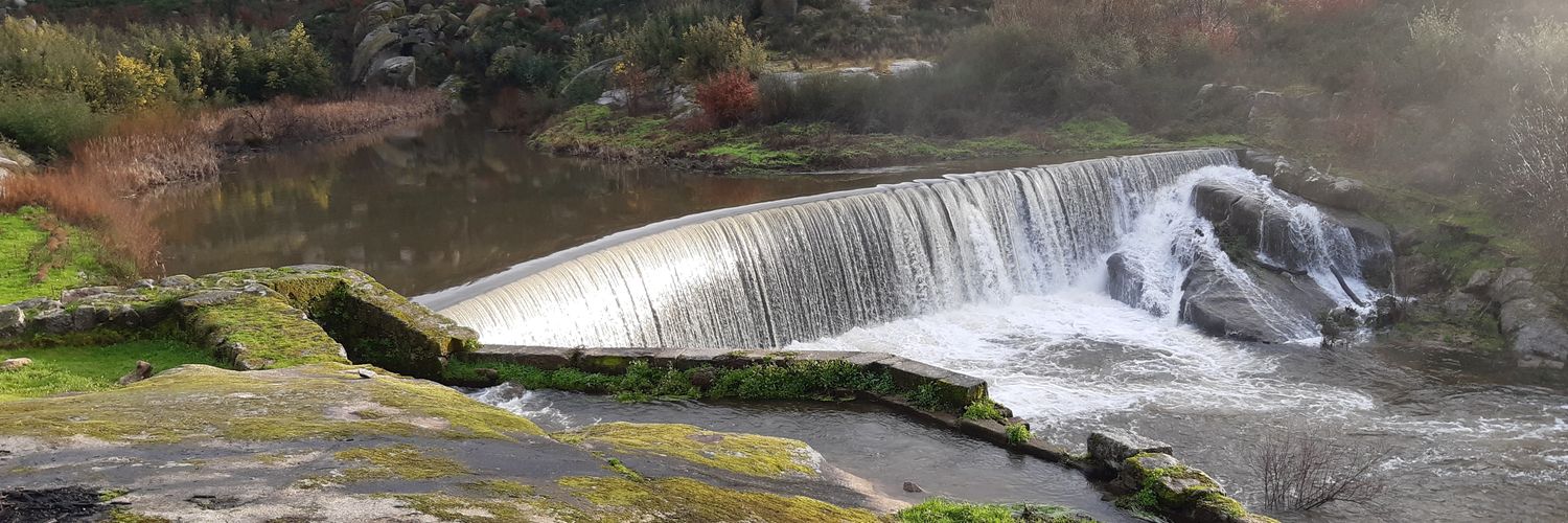 Joao Mostarda 🔝💯 banner