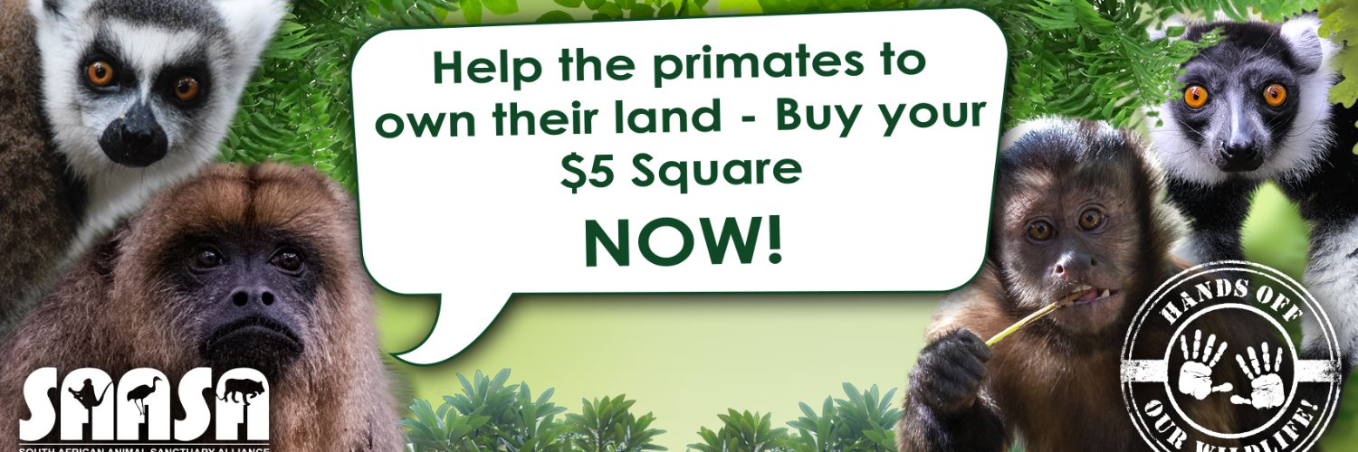 Monkeyland RSA banner