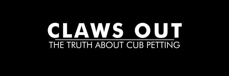 talktotheclaws's profile banner image